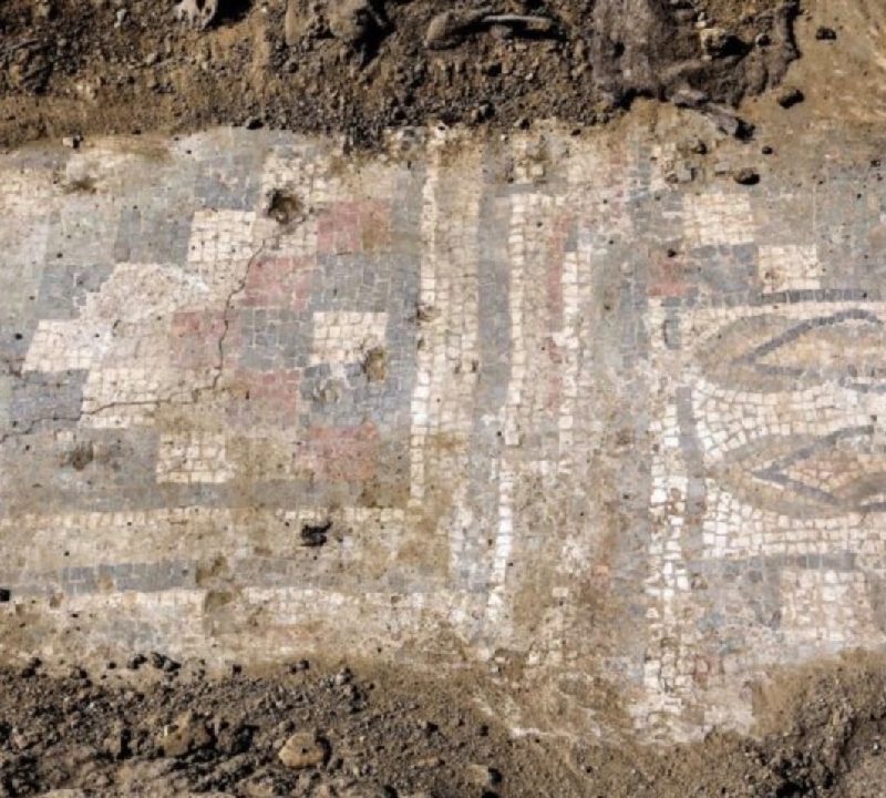 MORGANTINA E VILLA ROMANA DEL CASALE: NUOVE SCOPERTE MOSAICHE E SUCCESSO PER LA SUMMER SCHOOL ARCHLABS